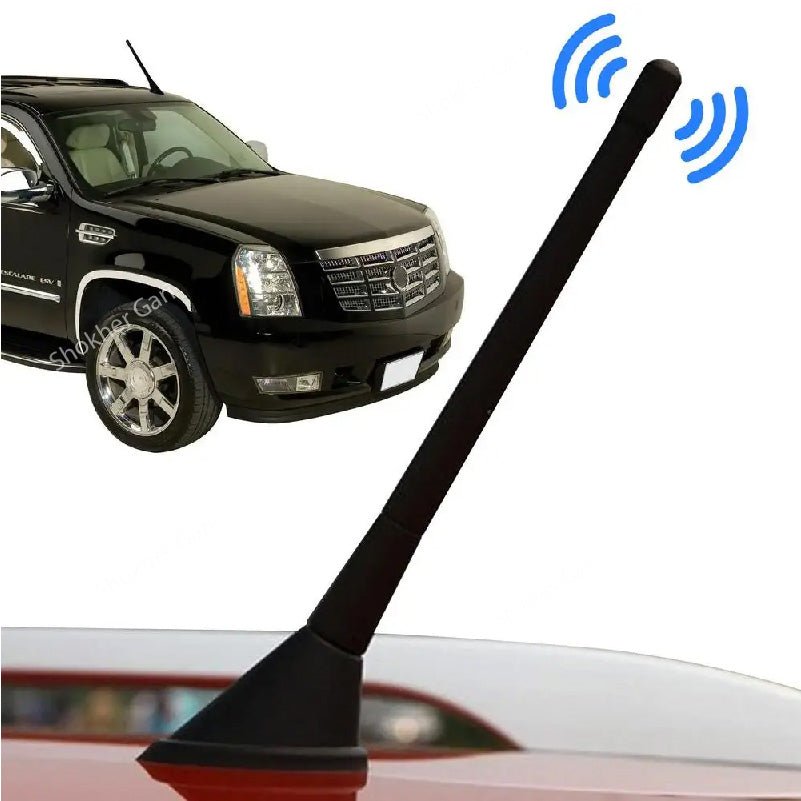 Car Fake Antenna