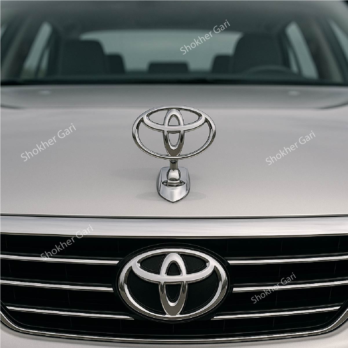 3D Metal Emblem For Car Bonnet- Car Hood stand Logo image 0