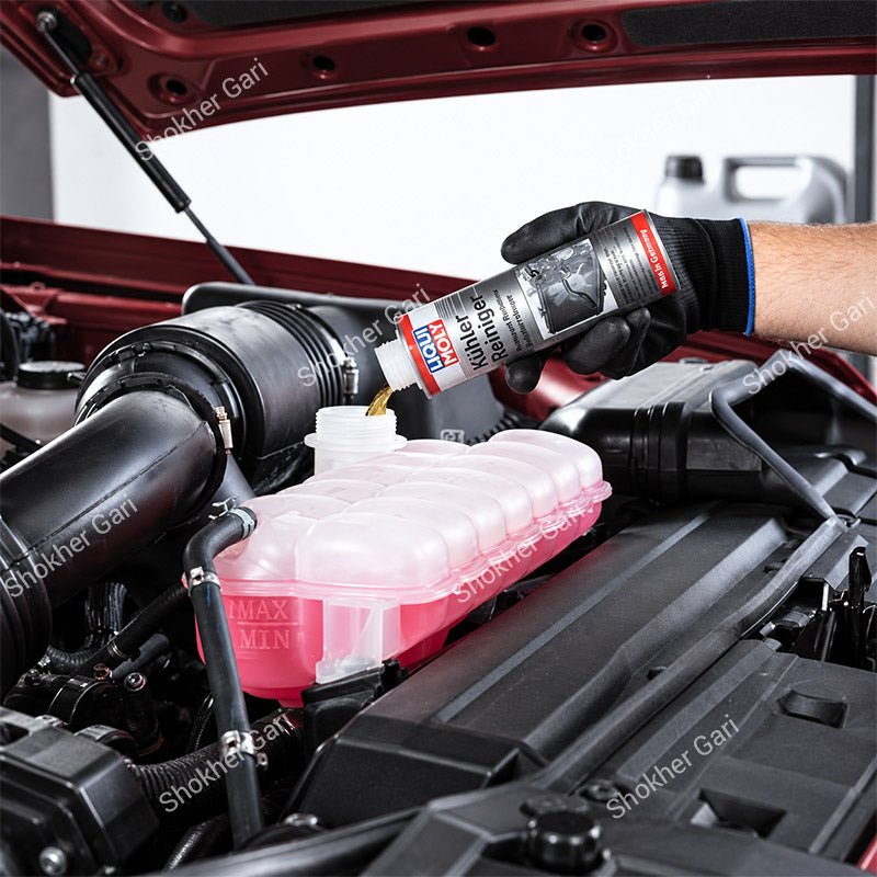 Car Liqui Moly Radiator Flush Cleaner for Cooling System Maintenance 300ml