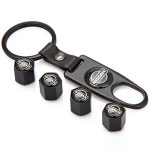 Luxury Air cap key ring