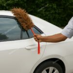 Car High Quality Chicken Feather Duster 6 Models