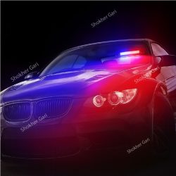 High Power Police Flashing Warning VIP Light 32