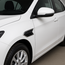 Sporty Racing Side Fender