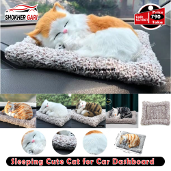 Sleeping Cute Cat for Car Dashboard