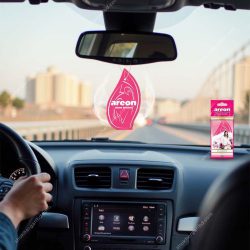 Car Areon Hanging Air Freshener 6pcs set