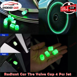 Radiant Car Tire Valve Cap 4 Pcs Set