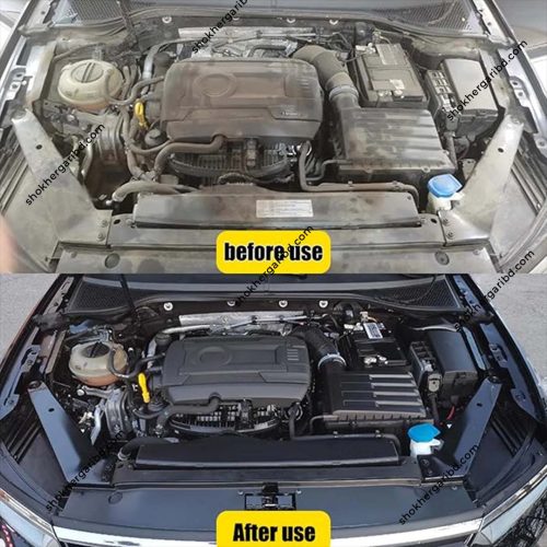 Botny Car Engine Surface Degreaser Cleaner(Aerosol) - Image 6